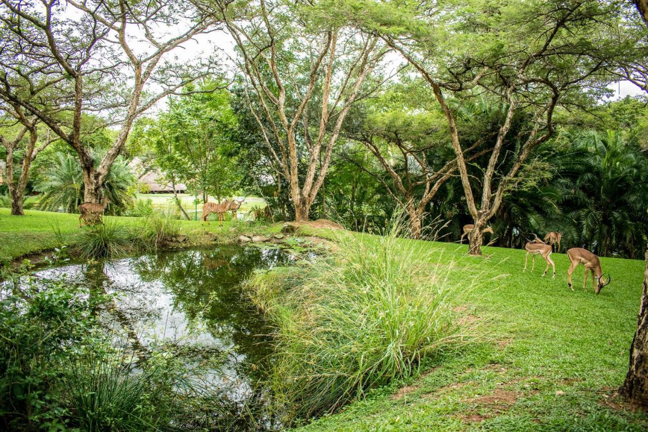 Inyamatane Luxury Lodge Хейзивью Экстерьер фото