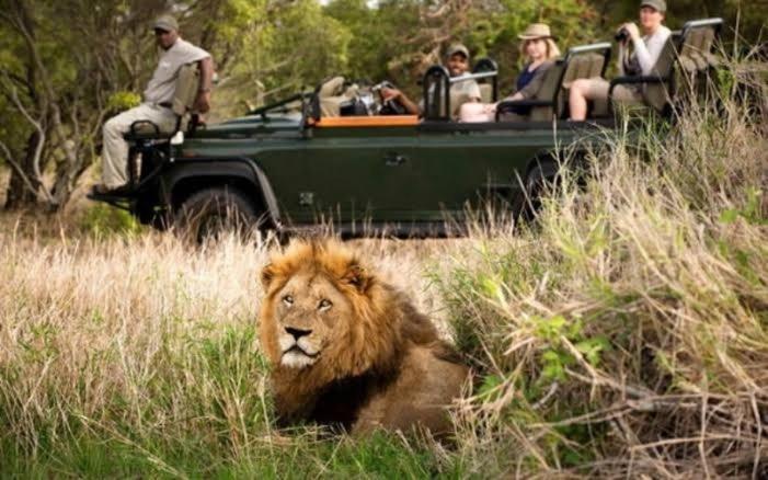 Inyamatane Luxury Lodge Хейзивью Экстерьер фото
